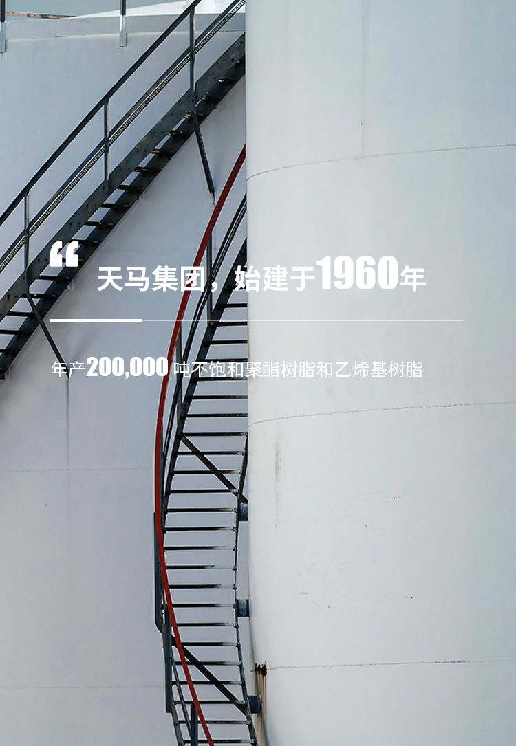 天馬集團，始建于1960年